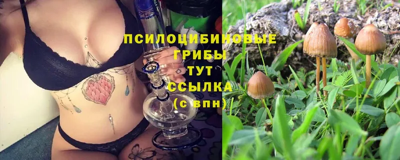 ссылка на мегу онион  Валуйки  Псилоцибиновые грибы Cubensis 